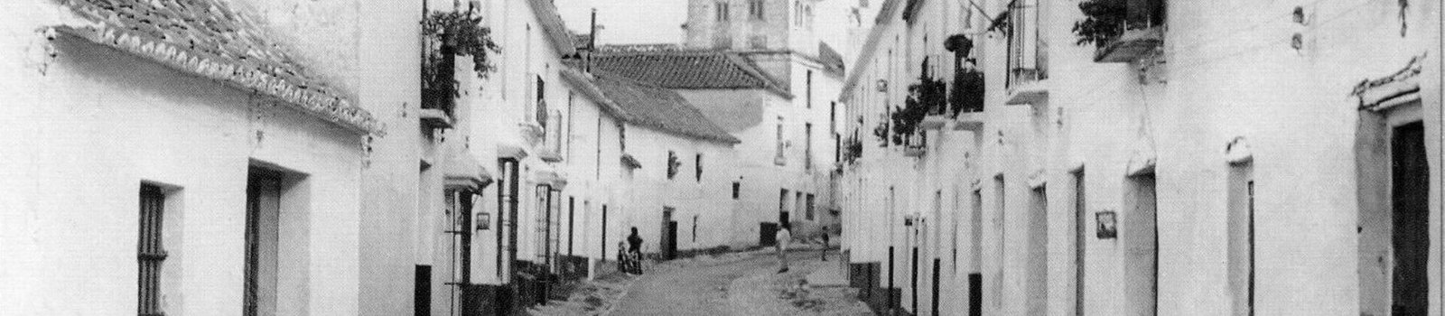 Banner del Barrio de Leganitos en Marbella - Historia y tradición cofrade